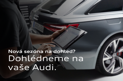 Novinka web náhled
